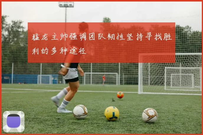 猛龙主帅强调团队韧性坚持寻找胜利的多种途径