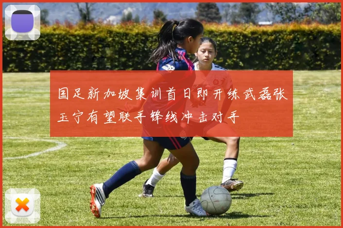 国足新加坡集训首日即开练武磊张玉宁有望联手锋线冲击对手